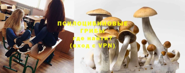 винт Абинск
