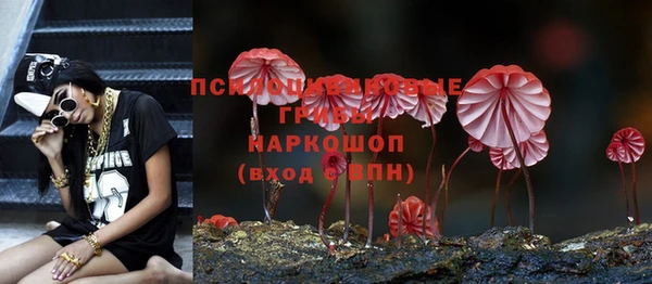 марихуана Абаза