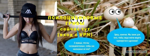 марихуана Абаза