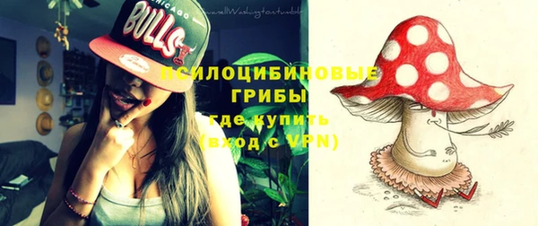 твердый Алексеевка