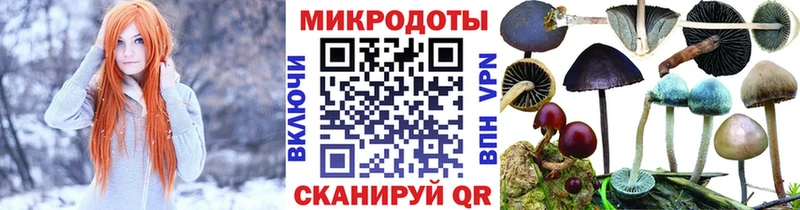 Псилоцибиновые грибы мицелий это наркотические препараты Сарапул цены